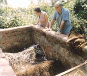 Vermiculture